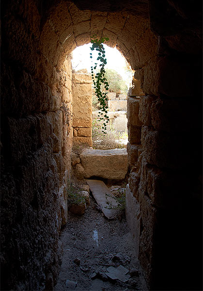 Vaulting - Caesarea