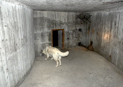 #8 - Barracks-shelter