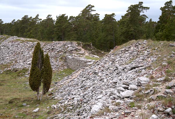 Prehistoric fortification of Torsburgen - Gotland fortifications