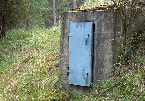 Bunker in the forest - Gotland fortifications