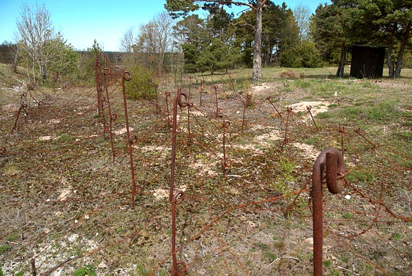 Wire fence - Gotland fortifications