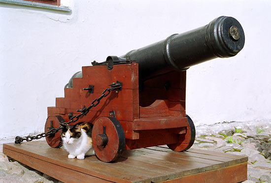 Cannon and Cat - Kexholm