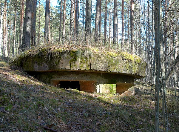 Pillbox - Fort Krasnaya Gorka