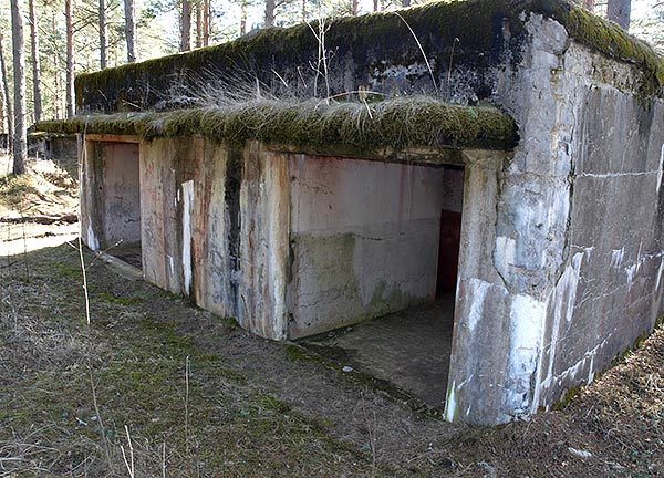 Shelter - Fort Krasnaya Gorka