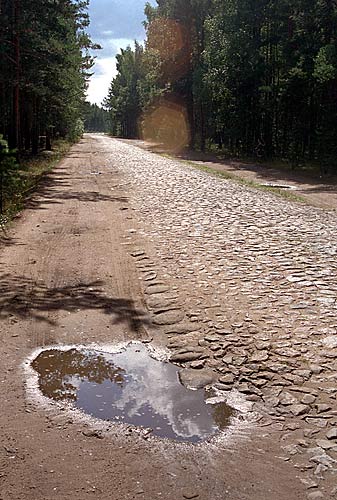 Old road to the fort - Fort Krasnaya Gorka
