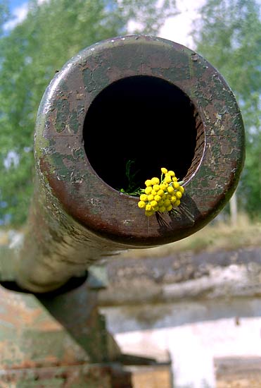 Artillery still life - Fort Krasnaya Gorka