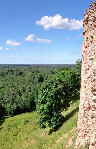 View to the Ingria land - Koporye