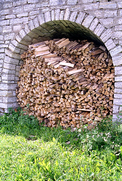 #13 - Fire wood for winter