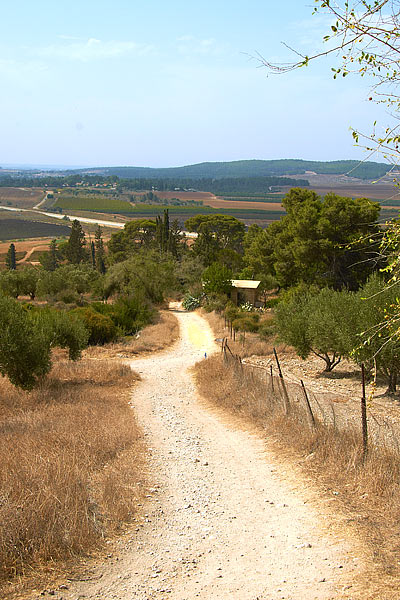 Road to the fortress - Fort Latrun