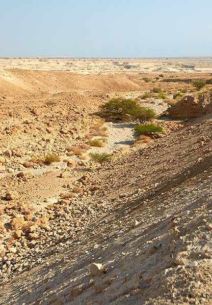 Coulee or wadi Masada - Masada