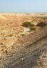 #5 - Coulee or wadi Masada