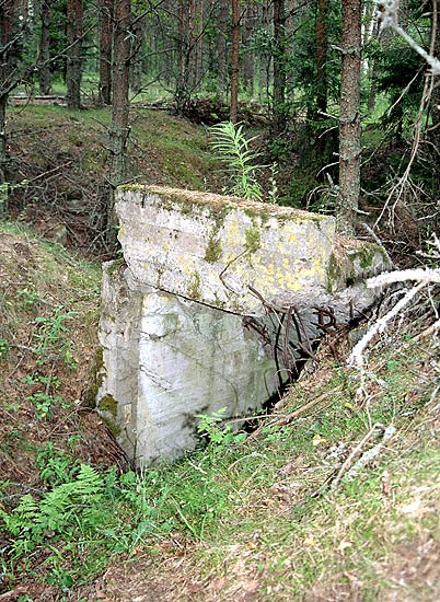 Ruins in the wood - Mannerheim Line