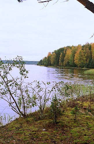 Suvantojärvi -  