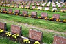 #35 - War cemetery