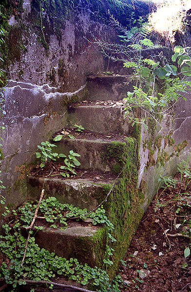 Stairs - Southern Forts