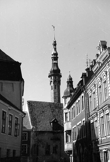 Town hall tower - Tallinn