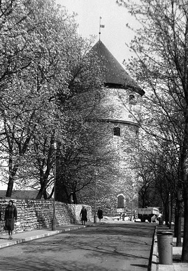 Kick-in-de-Kök  tower - Tallinn