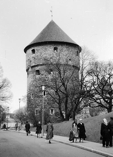 Kick-in-de-Kök tower one more - Tallinn