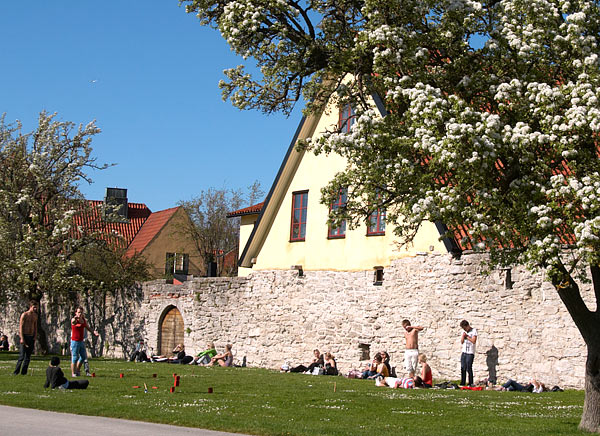 City wall near the port - Visby
