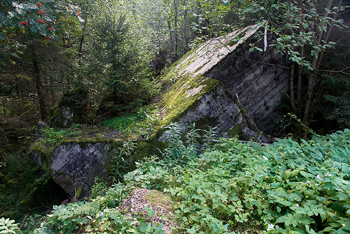 Infantry shelter