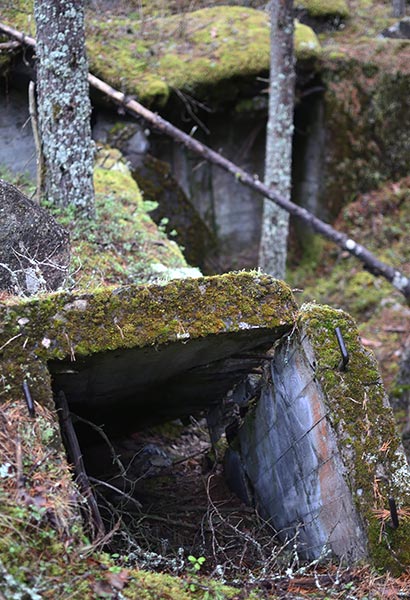 'Pulverized Fortification' - VT Line