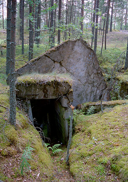 Exploded infantry shelter