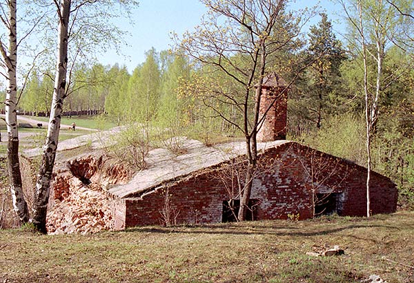 Ruins - Vyborg
